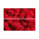 PP Synthetic Paper 150 thumbnail-1