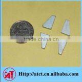 Precision Industrial Permanent Magnets of NdFeB for Media Players