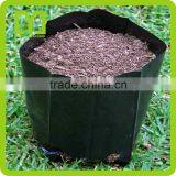 Yiwu Jinhua High Quality Cheap Plastic Planter Bags thumbnail-2