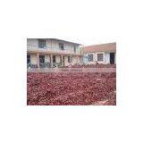 Dried Chilli thumbnail-2