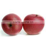 88# Fresh Fuji Apple thumbnail-3