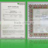 FD Carrot Sliced thumbnail-5