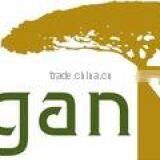 Iva Trading Ltd company overview - view 2 thumbnail