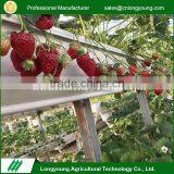 Professional save water hydroponic greenhouse growing systems indoor