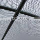 6m (L) X 3m (W) X 2.4m (H) Polytunnel Greenhouse Pollytunnel Poly Polly Tunnel Fully Galvanised Anti Rust Steel Frame thumbnail-3