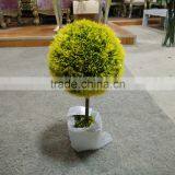 Colorful Decorative Artificial Grass Ball Witn Imitation Ceramic thumbnail-1