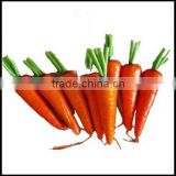 LOOK !!! 2011 BEST-SELLING artificial carrot vegetable