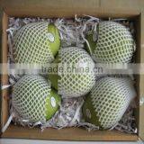 EPE Plastic Fruit Packaging Fruit Protection Net for Papaya thumbnail-3