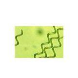 Spirulina Powder thumbnail-1