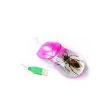 Real Insect Computer Mouse(crafts,gifts,souvenir ,novelties,gift promotion)