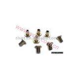 Brass Rivet thumbnail-1