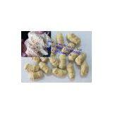 Texturized Soybean Fiber Protein Machine thumbnail-2