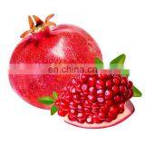 Pomegranate Juicer/Orange Juice Machine /Citrus Squeezing Machine thumbnail-1