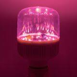 Led Plant Grow Lights Bulb Pitaya Flowering Bulb 12W T80 thumbnail-5