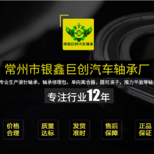 Changzhou Yinxin Juchuang Automobile Bearing Factory company overview - view 2 thumbnail