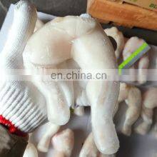 Clealed Skinless Frozen Bull Frog Leg Frozen Frog Legs Frozen thumbnail-3