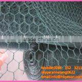 1/4" Green Pvc Coating Hexagonal Weaving Wire Mesh Cages
