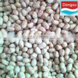 Shandong Peanut Kernels