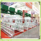 Broiler Battery Cages With Automatic System thumbnail-4