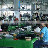 Xiamen Le Young Import & Export Co., Ltd. company overview - view 2 thumbnail