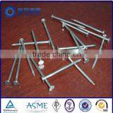 Best Selling 4-1/2" 30D Hot-dipped Galvanized Ring Shank Patio Nail thumbnail-2