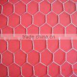 BWG 22 Hexagonal Wire Mesh