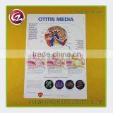 High Quality Medical Posters and Charts