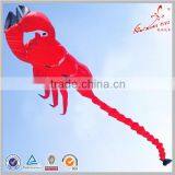 Durable Ripstop Nylon Large Soft Inflatable Kite From Kaixuan Factory thumbnail-2