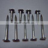 Hot Dipped Galvanized Common Nail thumbnail-1