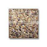 Pure Carum Copticum / Bishop's Weed / Ajwain