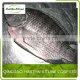 Best Price Fresh Frozen Tilapia Fillet Fishs thumbnail-3