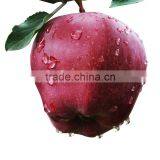 Red Delicious Apple Fresh Huaniu Apple thumbnail-1
