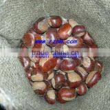 Fresh Chestnut thumbnail-1