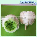 Natural Preserved Flower Wholesale Roses David Austin thumbnail-4