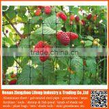 Offer 100% New Hdpe Netting Fabric , Anti Bird Nets for Catching Birds thumbnail-2