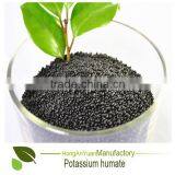 Column Granular Plant Root Growth Promoter Potassium Humate With Humic Acid 80% K2O 15% thumbnail-2