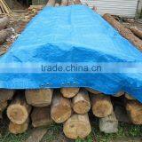 Wedding Design on Tarpaulin,tarpaulin Cover for Wood,car Storage Shelter Cover thumbnail-1