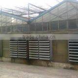 Commercial Greenhouse thumbnail-4