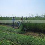 Factory Supply Hot Sale 4GL-80 Rice and Wheat Reaper Binder thumbnail-5