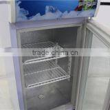 Little Vertical Display-seriesEngineering Freezer /Freezer of Beer Chinese Seafood Restaurant Freezer/Import and Export o thumbnail-5