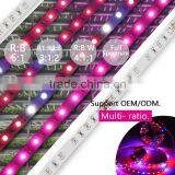 14W LED Strip Light Indooruse thumbnail-5