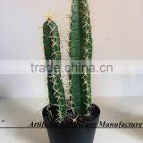 SJ3001014 Landscaping Ornament Cactus Plant/catos Green Plant thumbnail-3