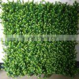 Outside Wall Plants Decoration thumbnail-5