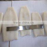 Best Season Japanese Squid Tubes thumbnail-1