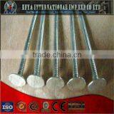 Roofing Nail thumbnail-2