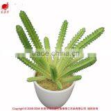 Artificial Succulent Home Decorative Tropical Plants Small Manufacturing Plant thumbnail-1