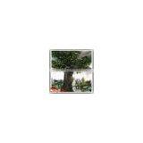 Factory Large Indoor Decor Artificial Fake Plastic Fiberglass Trees thumbnail-1