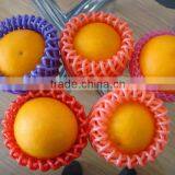 SGS Certificate Plastic EPE Foam Sleeve Net for Watermelon thumbnail-3