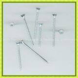 C1022 Oval Head Yellow Zinc Plated Chipboard Screw thumbnail-1