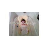 Children-helpful Sponge/safety Sponge